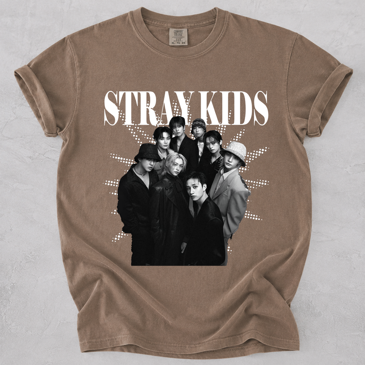 STRAY KIDS Kpop Fan Shirt Group Graphic Comfort Colors Tee